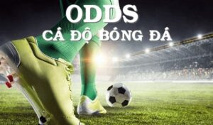 Odds Trong Bóng đá Là Gì