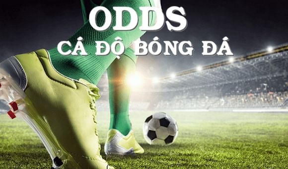 Odds Trong Bóng đá Là Gì